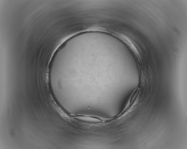 X0000110991292200907101423