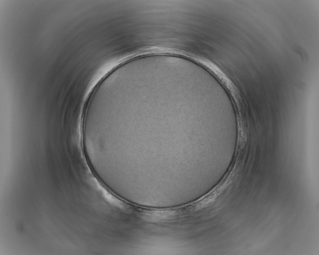 X0000110991294200907101423