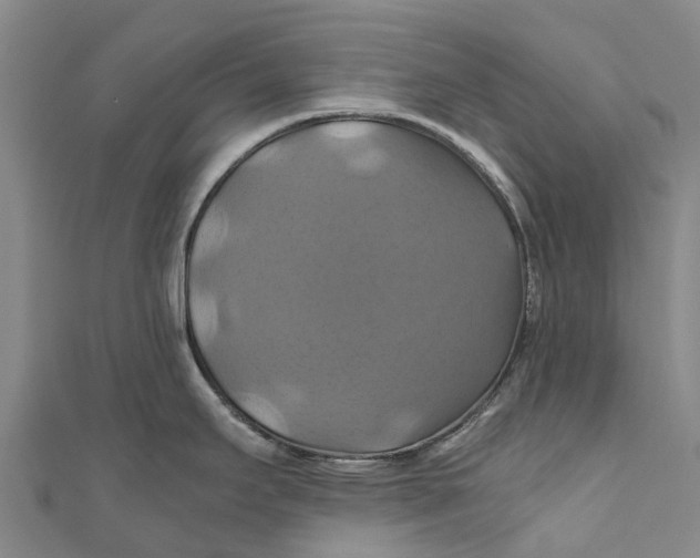 X0000110991295200907101423