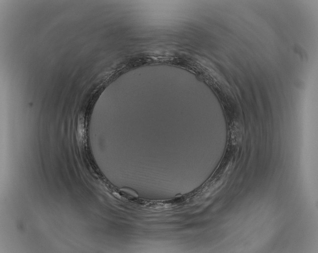 X0000110991298200907101422