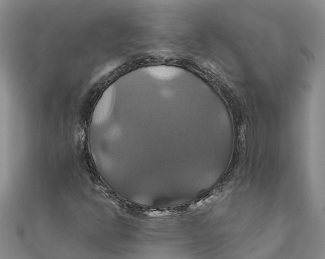 X0000110991302200907101422