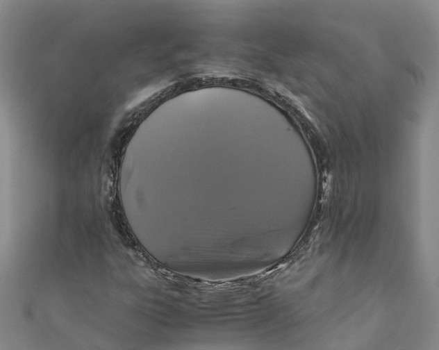 X0000110991303200907101422