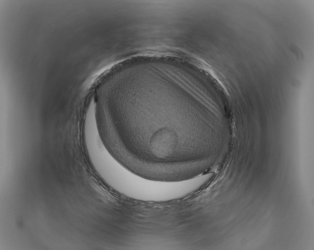 X0000110991304200907101422