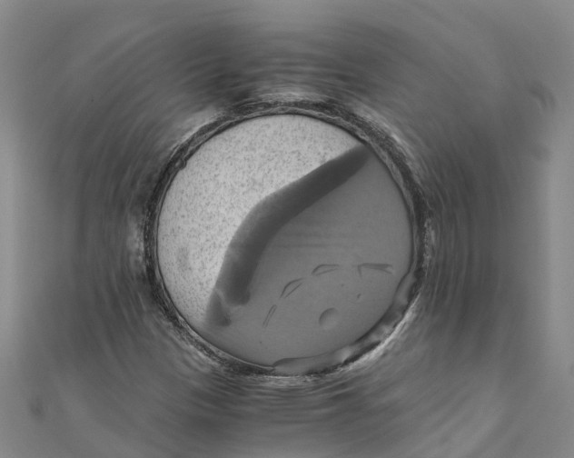 X0000110991305200907101422