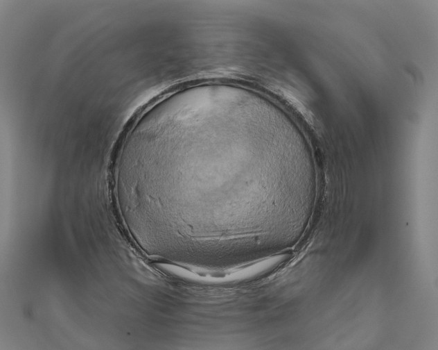 X0000110991308200907101422