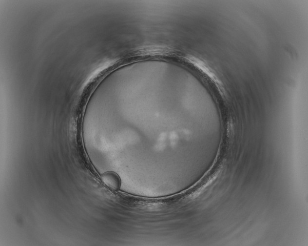 X0000110991309200907101422