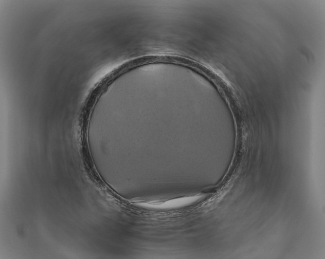 X0000110991311200907101422