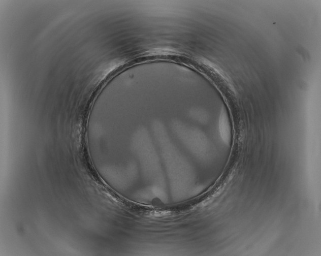 X0000110991313200907101422