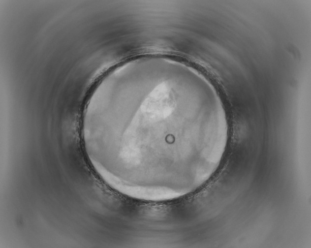 X0000110991314200907101422