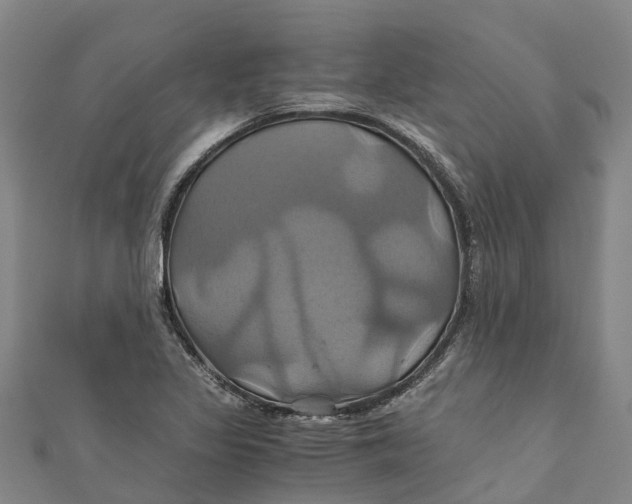 X0000110991317200907101422