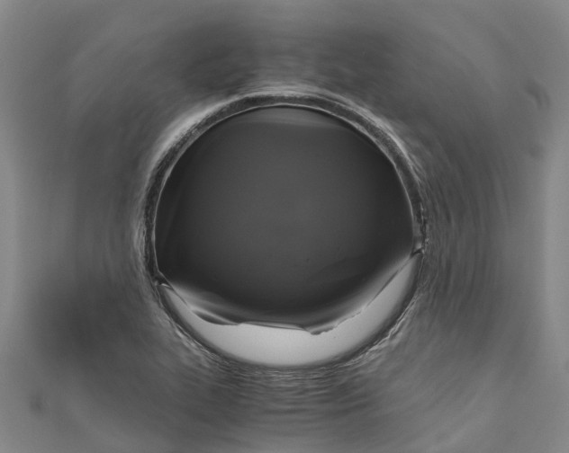 X0000110991319200907101422