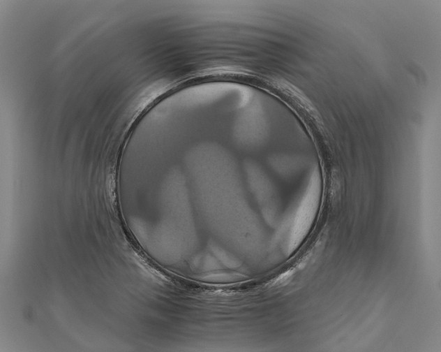 X0000110991321200907101422