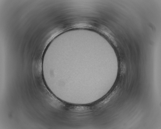 X0000110991322200907101422