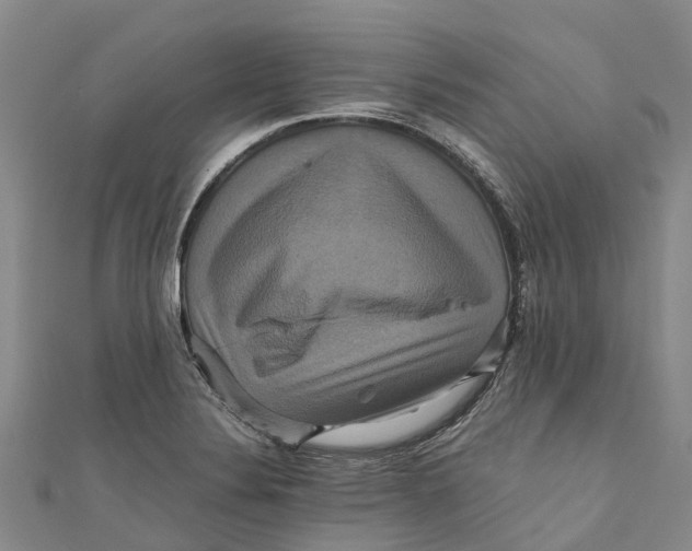 X0000110991324200907101422