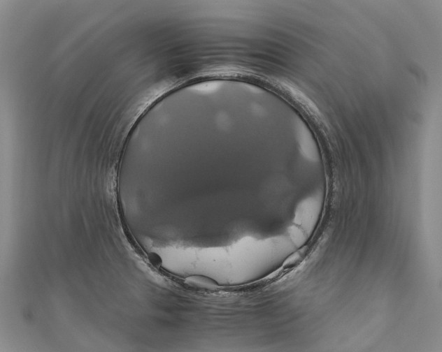 X0000110991329200907101423