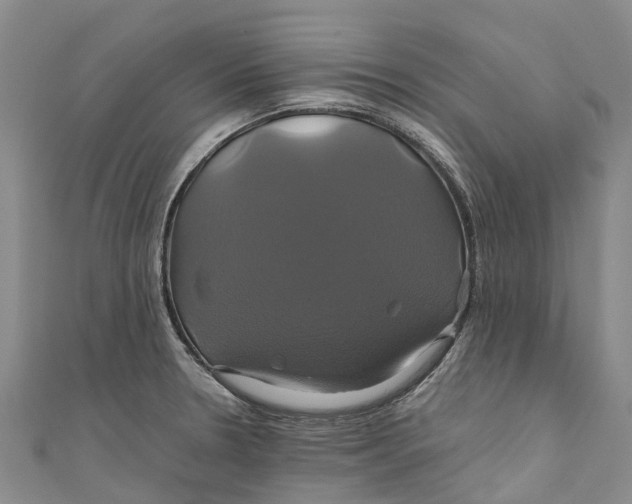 X0000110991330200907101423