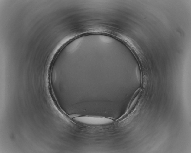 X0000110991331200907101423