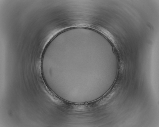 X0000110991332200907101423