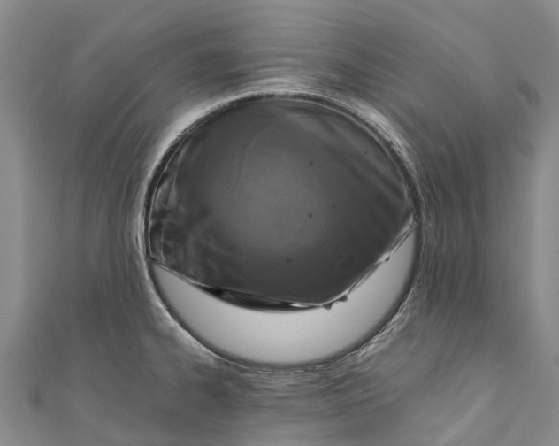 X0000110991334200907101423