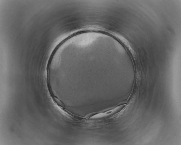 X0000110991335200907101423