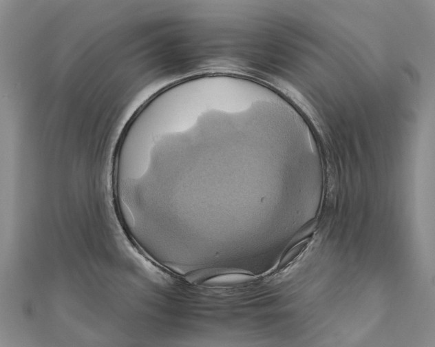 X0000110991339200907101423
