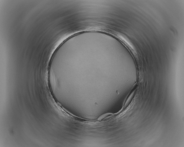 X0000110991340200907101423
