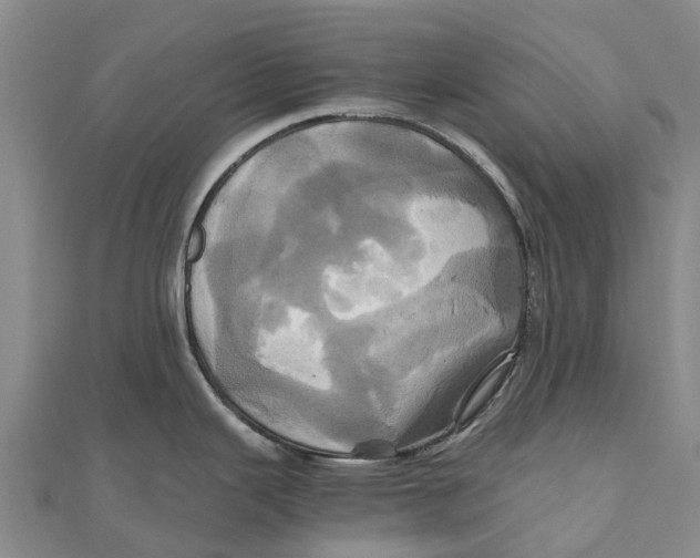 X0000110991343200907101423