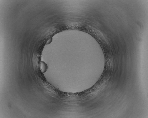 X0000110991346200907101422