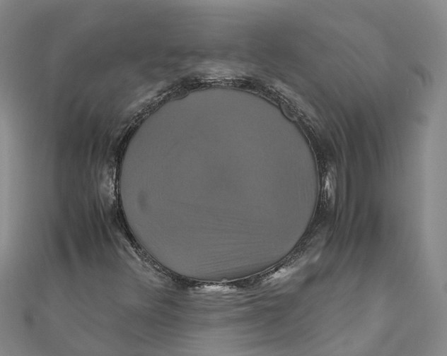 X0000110991348200907101422