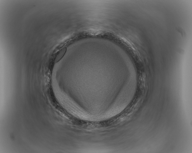 X0000110991349200907101422