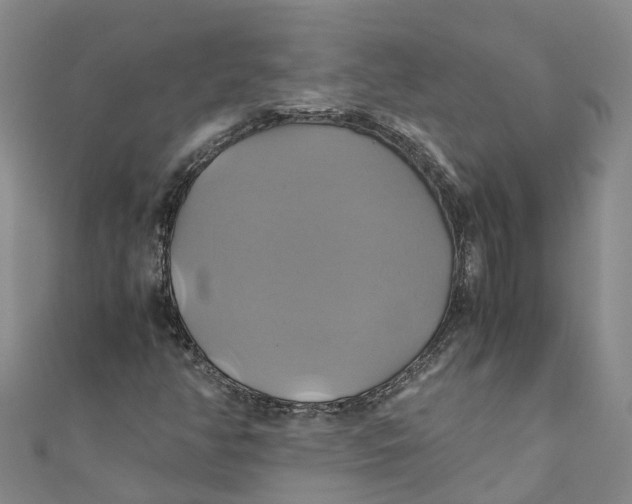 X0000110991350200907101422