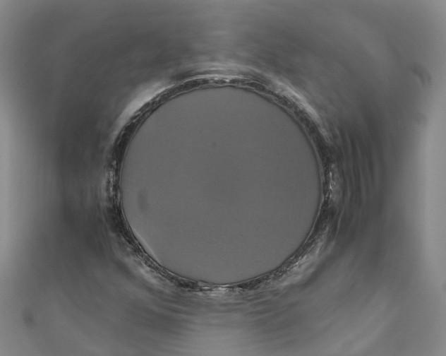 X0000110991352200907101422