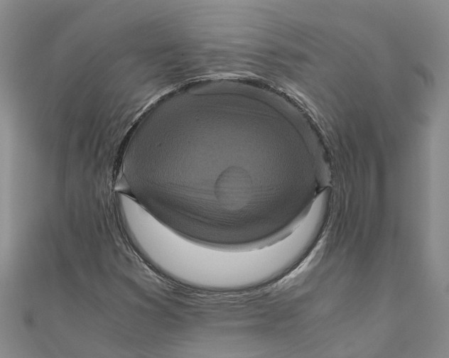 X0000110991353200907101422