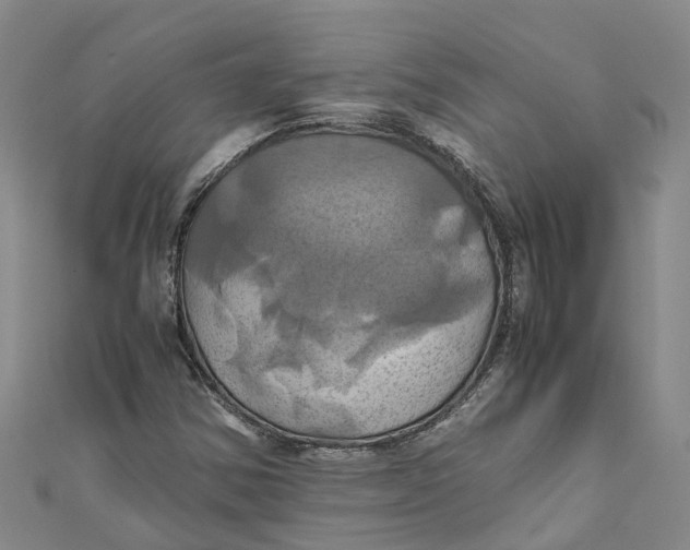 X0000110991354200907101422