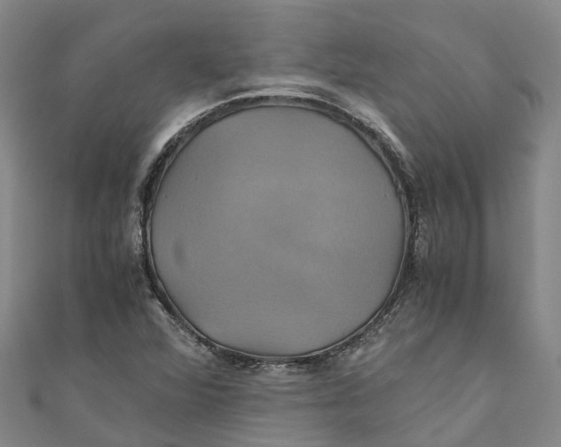 X0000110991360200907101422