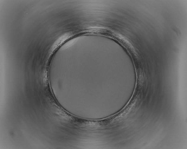 X0000110991362200907101422