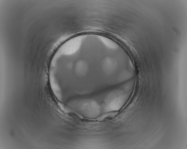X0000110991363200907101422