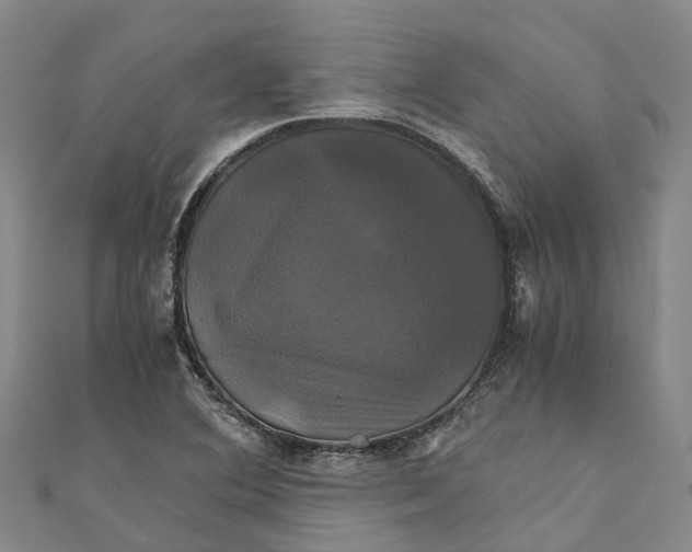 X0000110991364200907101422