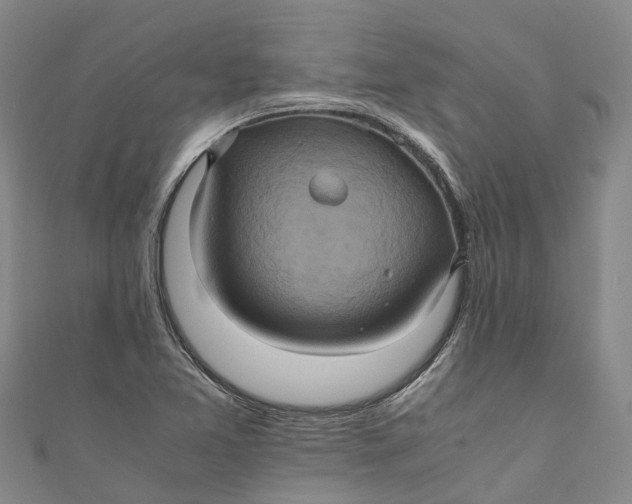 X0000110991365200907101422