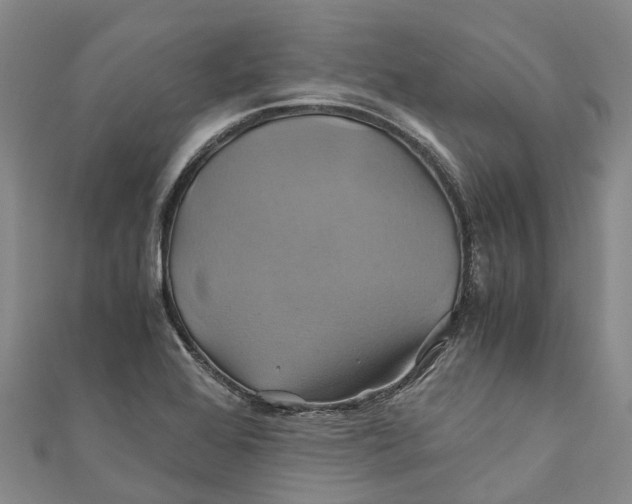 X0000110991368200907101422