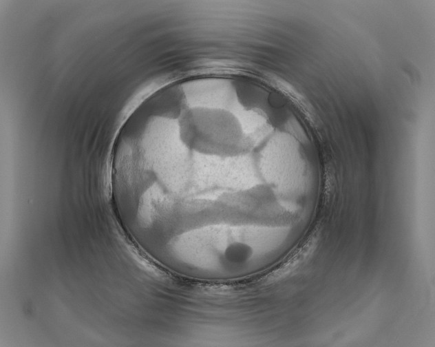X0000110991370200907101422