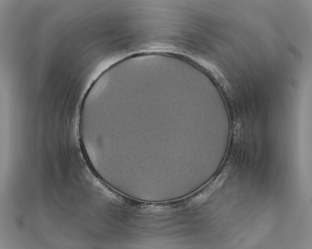 X0000110991374200907101422