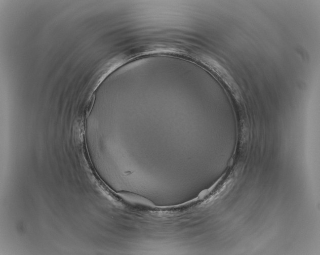 X0000110991377200907101422