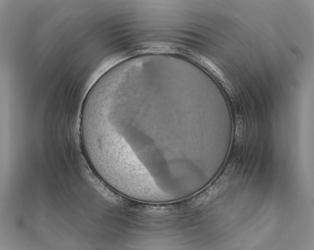 X0000110991378200907101422