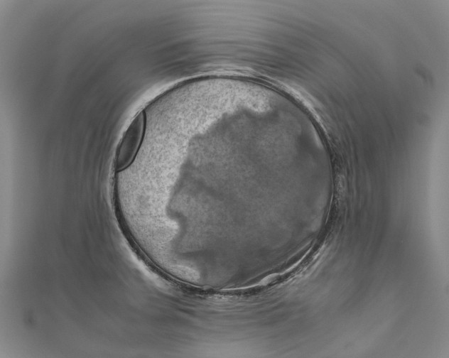 X0000110991379200907101422