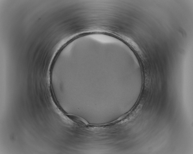 X0000110991380200907101422