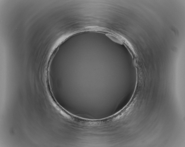 X0000110991381200907101422