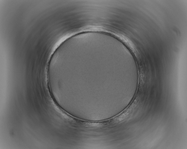 X0000110991382200907101422