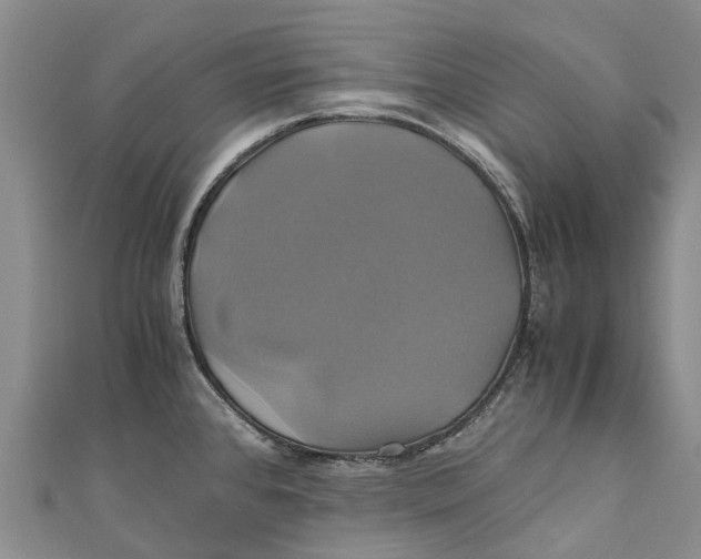 X0000110991384200907101422