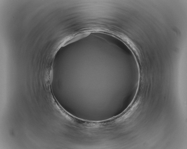X0000110991385200907101422